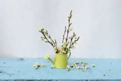 Bloeiende takken: haal de lente in huis