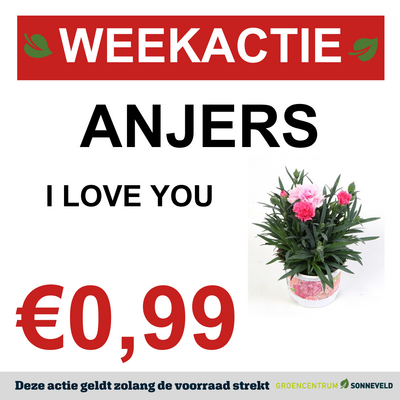 ANJERS
