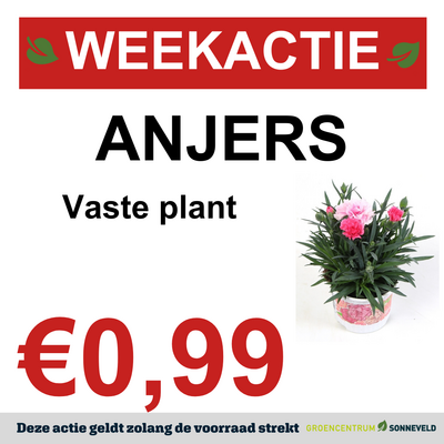 Anjers