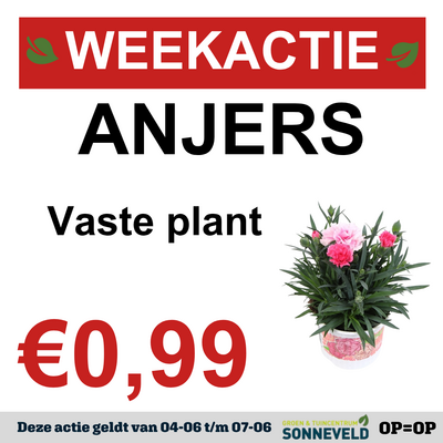 Anjers