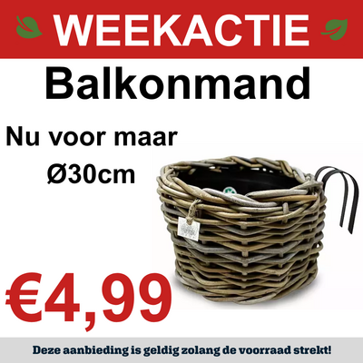 Balkonmand