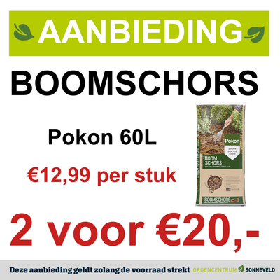 Boomschors