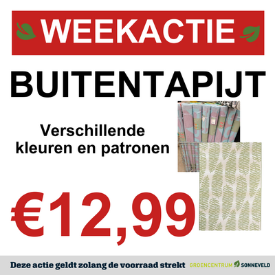 Buitentapijt