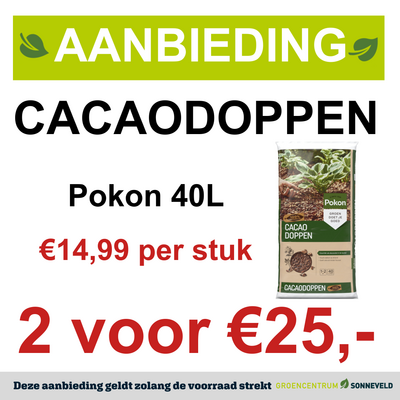 Cacaodoppen