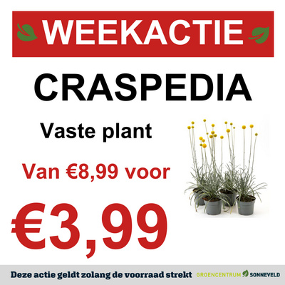 CRASPEDIA