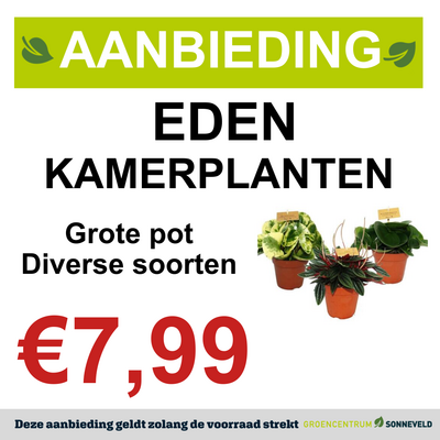 Eden Collection