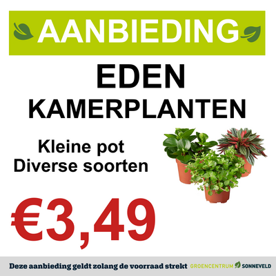 Eden Collection