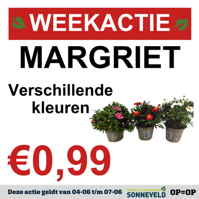 Margriet