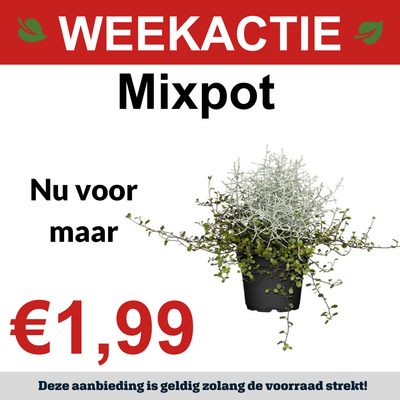 Mixpot