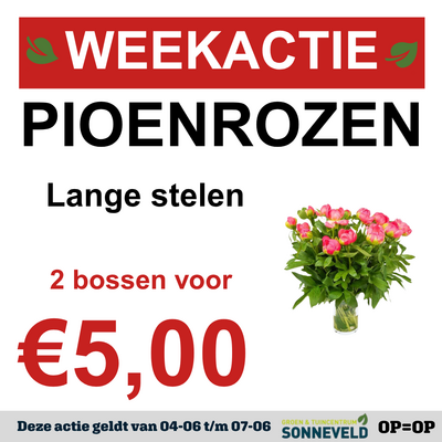 Pioenrozen