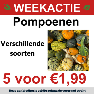 Pompoenen