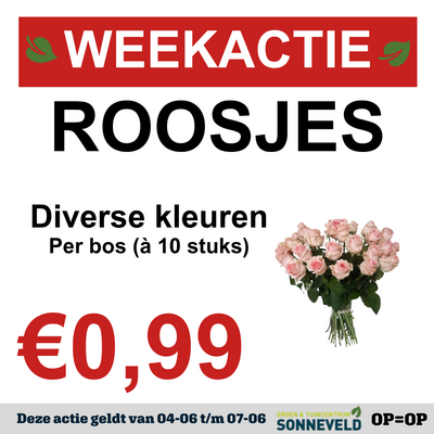 Roosjes