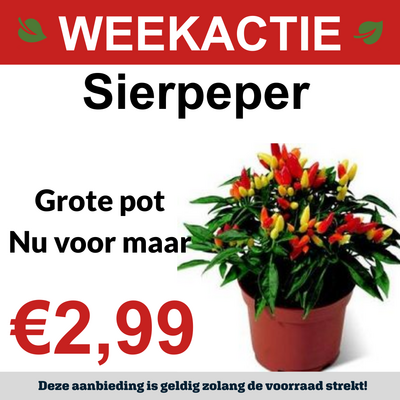 Sierpeper XL
