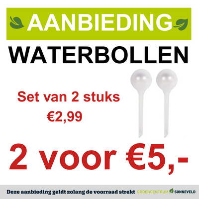 Waterbollen