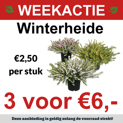 Winterheide