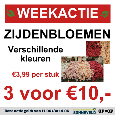 Zijdenbloemen
