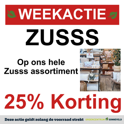 ZUSSS