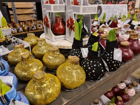 Bloembollen en zaden