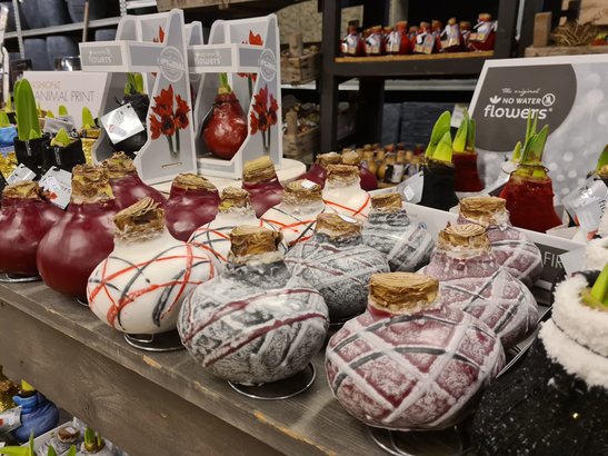 Bloembollen en zaden