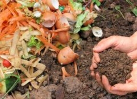 Compost